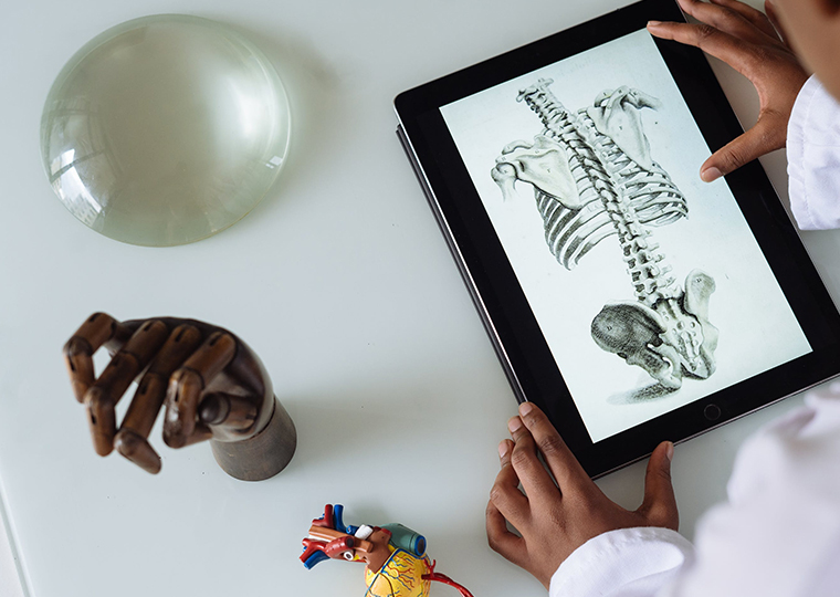 動物實(shí)驗(yàn)